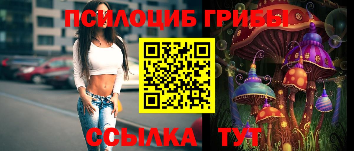 Карталы  Псилоцибиновые грибы GOLDEN TEACHER  Вход с VPN 